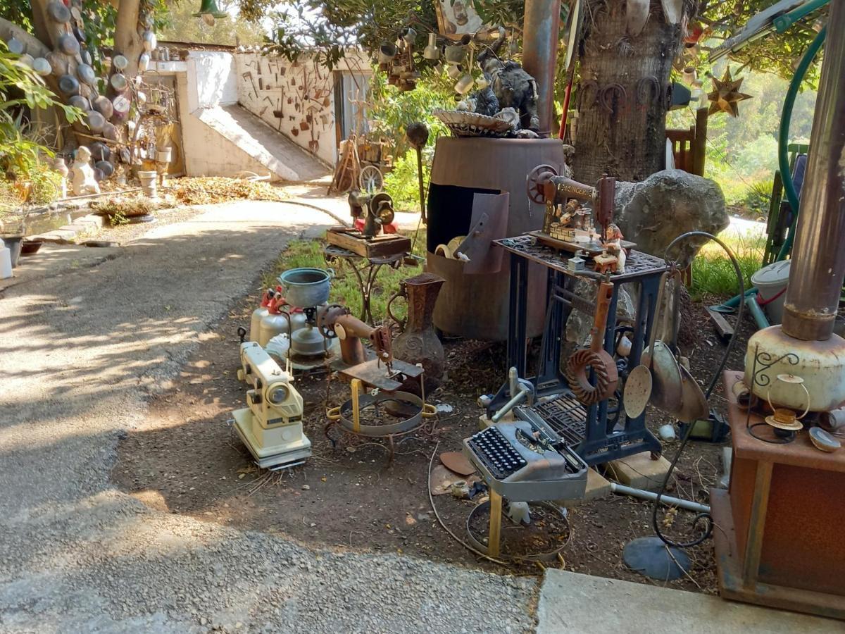צימר בודד בגליל העליון Kefar Szold Dış mekan fotoğraf