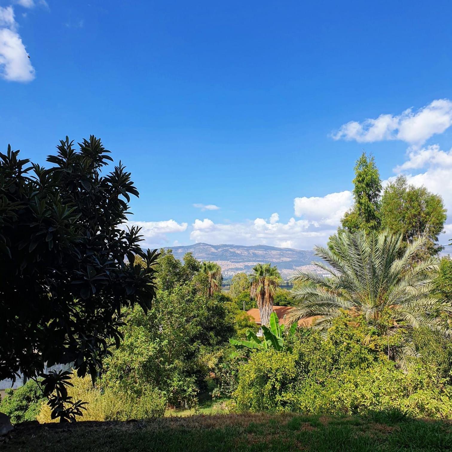 צימר בודד בגליל העליון Kefar Szold Dış mekan fotoğraf